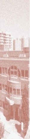 IIBfoto
