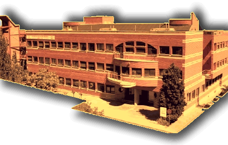 nuevo IIB