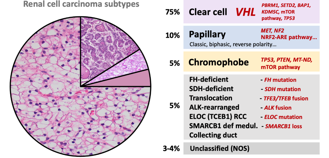 content_206_figure_1