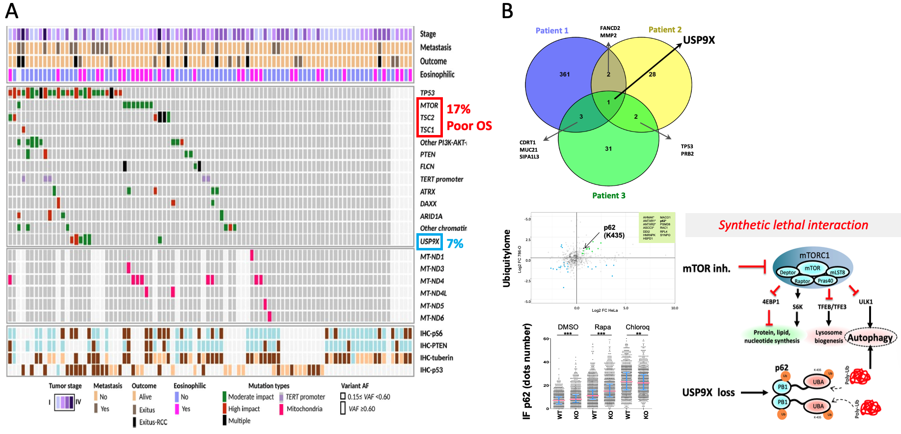 content_206_figure_2