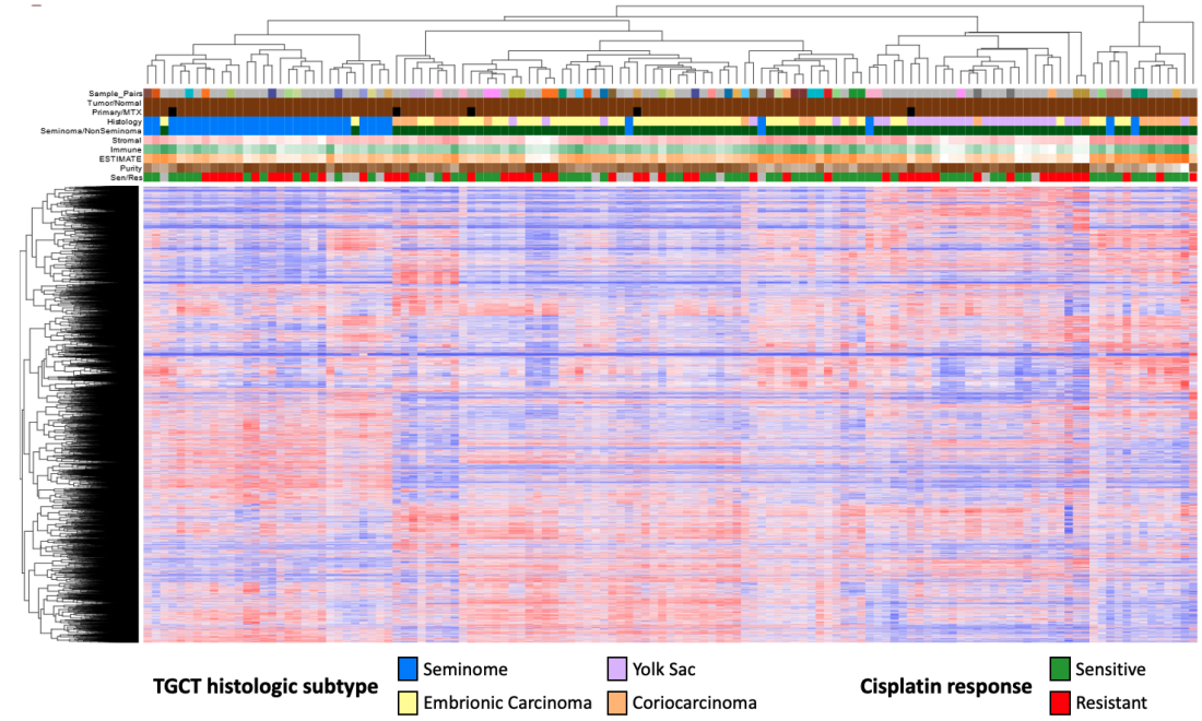 content_207_figure_1